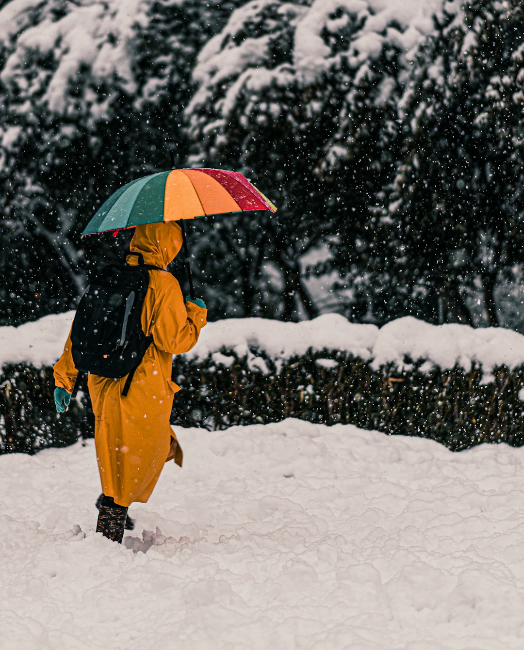 person-in-yellow-coat-holding-umbrella-walking-on-snow-covered-ground-during-daytime-lwt2ykmyxp8